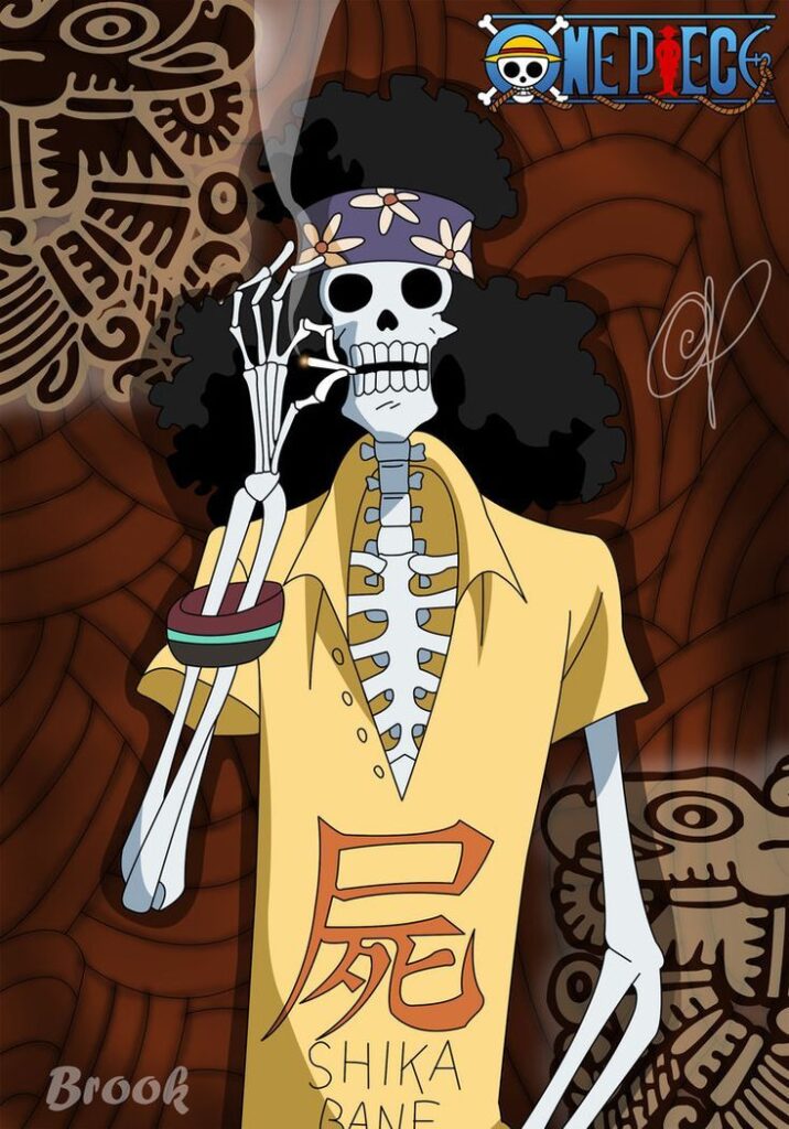 Brook: Profil dan Biodata Musisi Bajak Laut Topi Jerami
